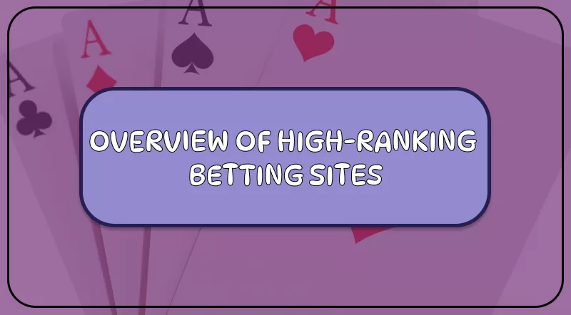 OVERVIEW OF HIGH-RANKING BETTING SITES